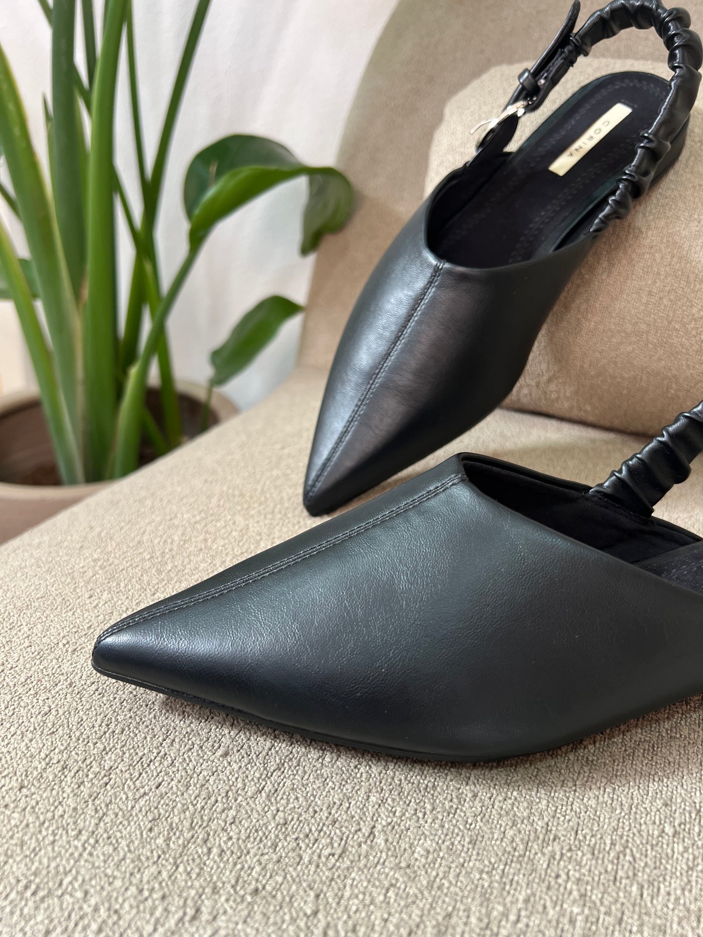 Mule Blanche - Preto