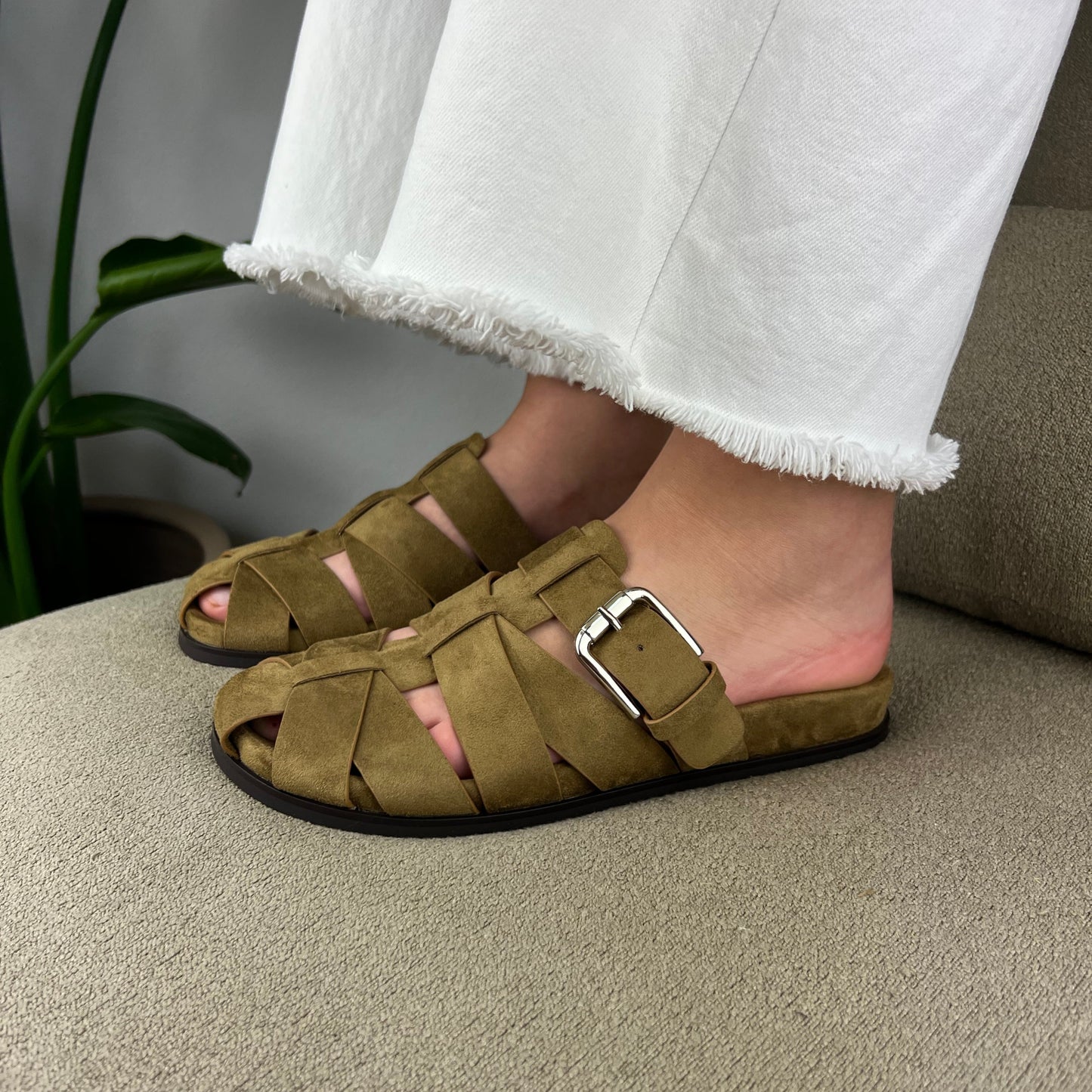 Mules - Camel
